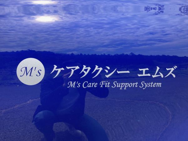 ケアタクシーエムズの写真1枚目